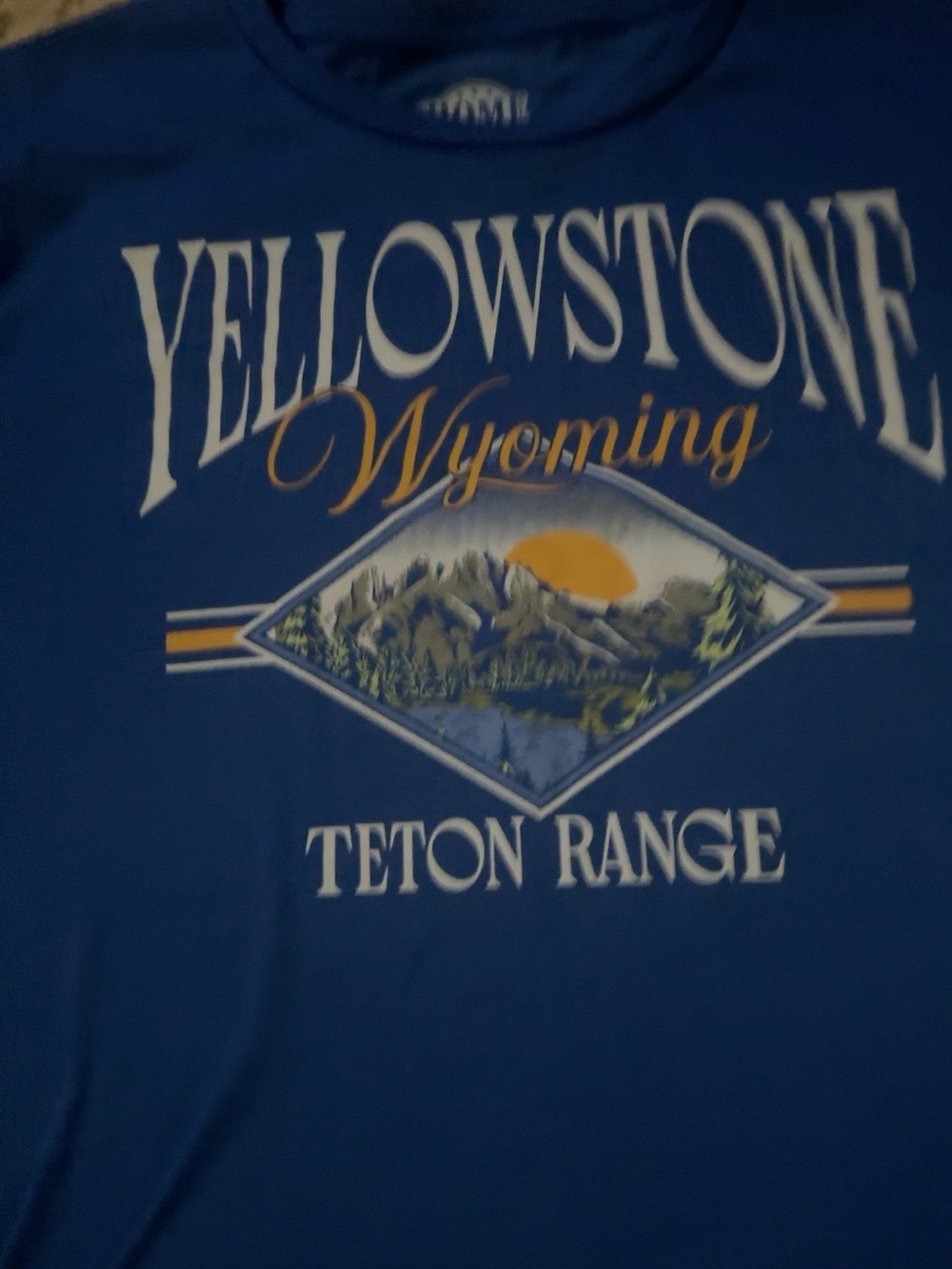 Home Free Yellowstone Wyoming Teton Range Graphic T-Shirt Youth L 12-14 Blue